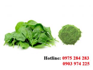 Bột Mồng Tơi