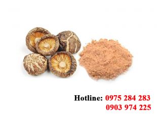 Bột Nấm Đông Cô