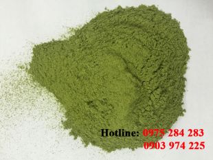 Bột rau diếp