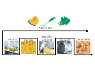 Sấy FD là gì?