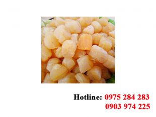 FD Sò Điệp