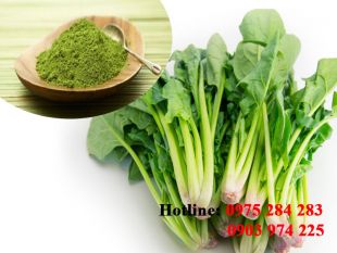 Bột Bó Xôi