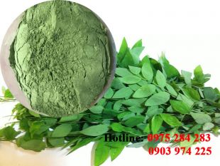 Bột Rau Ngót