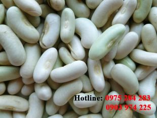Bột đậu tây trắng